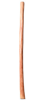 Natural Finish Didgeridoo (TW1023)